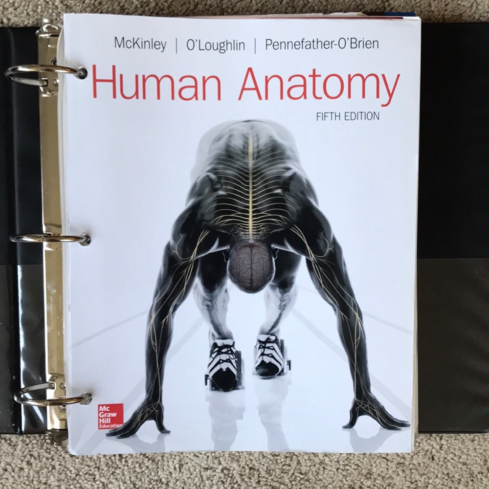 Human Anatomy 5th Edition by Michael P. McKinley